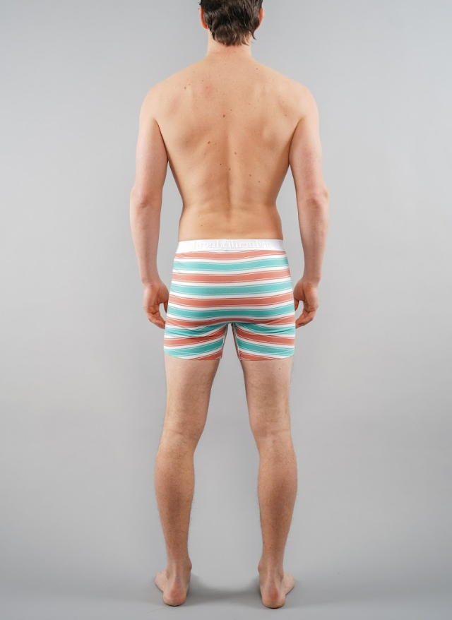 Newman Boxer Brief | Koral &amp; Grøn Stribet