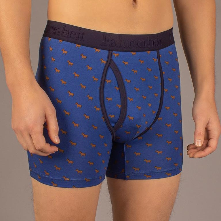 Newman Boxer Brief | Valgæsel 